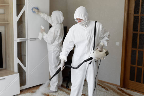 Mold Testing and Removal in Arrowhead Beach, NC